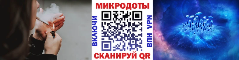 Псилоцибиновые грибы прущие грибы  Советский 